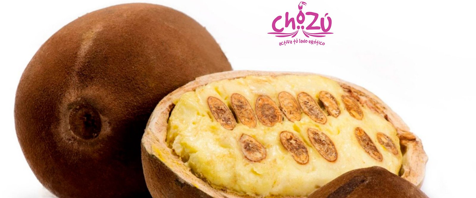 La Fermentación del grano de cacao